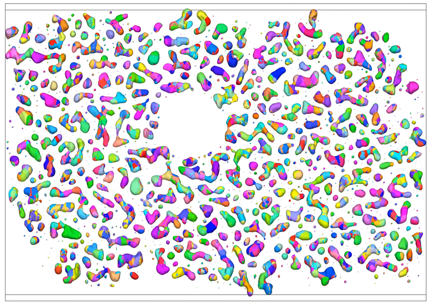 微信圖片_20231201085300_副本.png